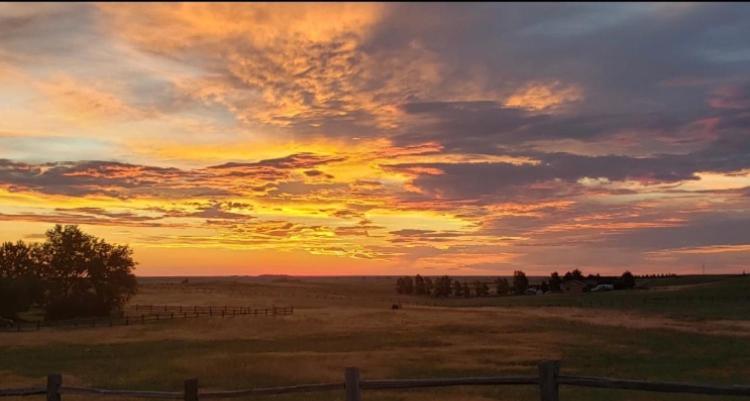 Sundance Suite - Prairie Rose Bed & Breakfast Cheyenne Esterno foto