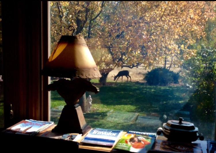 Sundance Suite - Prairie Rose Bed & Breakfast Cheyenne Esterno foto